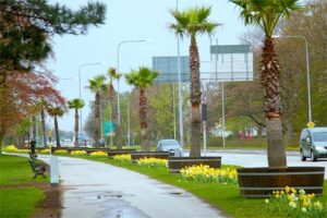 Trelleborg1